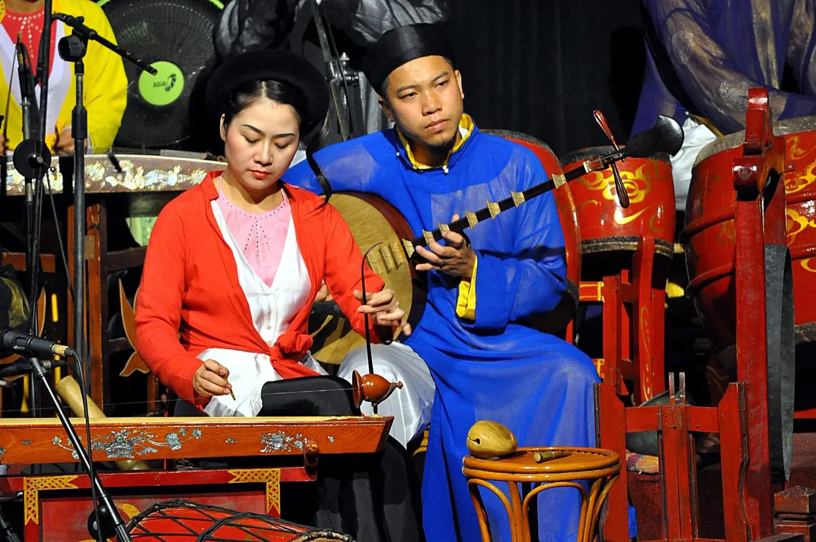 Nghệ sĩ nhạc cụ truyền thống